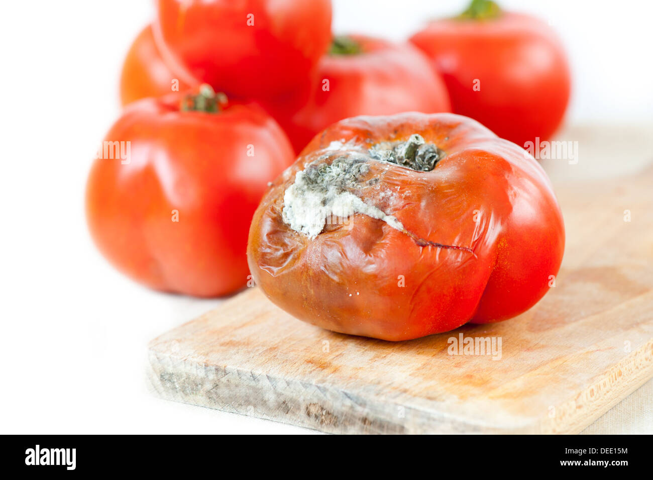 ripe toxic moldy tomato and good fresh fruits Stock Photo