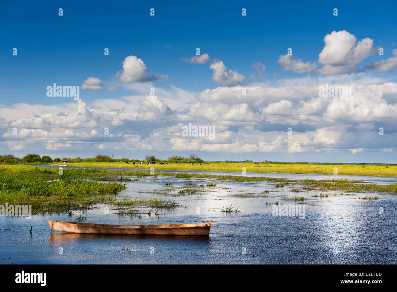 wooden boat in Biebrza wetland area landscape Stock Photo