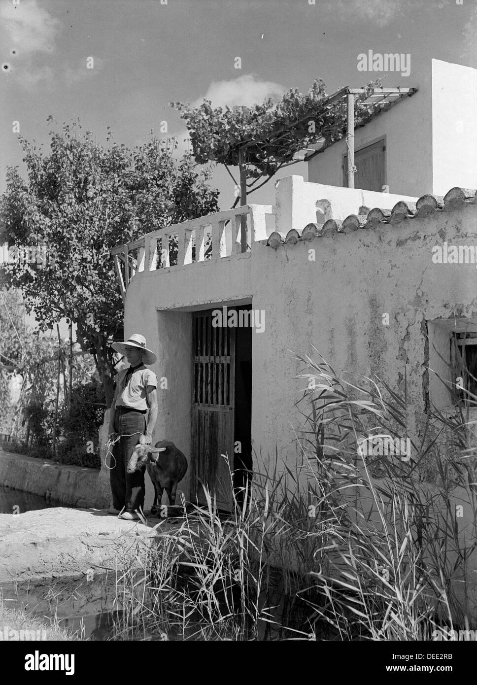 Everyday life scenes in Eivissa. Half of the XXth century. Balearic Islands. Spain. Stock Photo