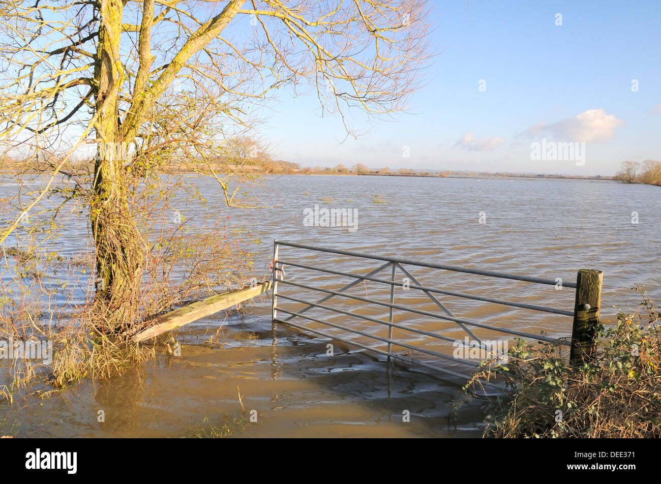 Flooded gateway and pastureland on West Moor near Hambridge on the Somerset Levels, Somerset, England, UK Stock Photo