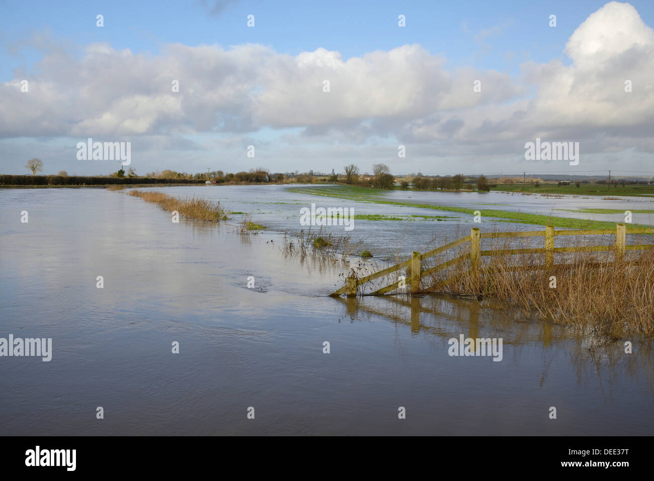 River Parrett overflowing onto Aller Moor near Staithe after weeks of heavy rain, Somerset Levels, Somerset, England, UK Stock Photo