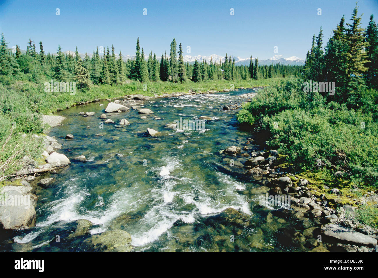 Brushkana Creek, Denali Highway, Alaska, USA Stock Photo 60546478 Alamy