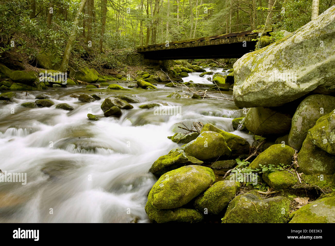 Roaring Fork, Great Smoky Mountains National Park, TN, USA Stock Photo