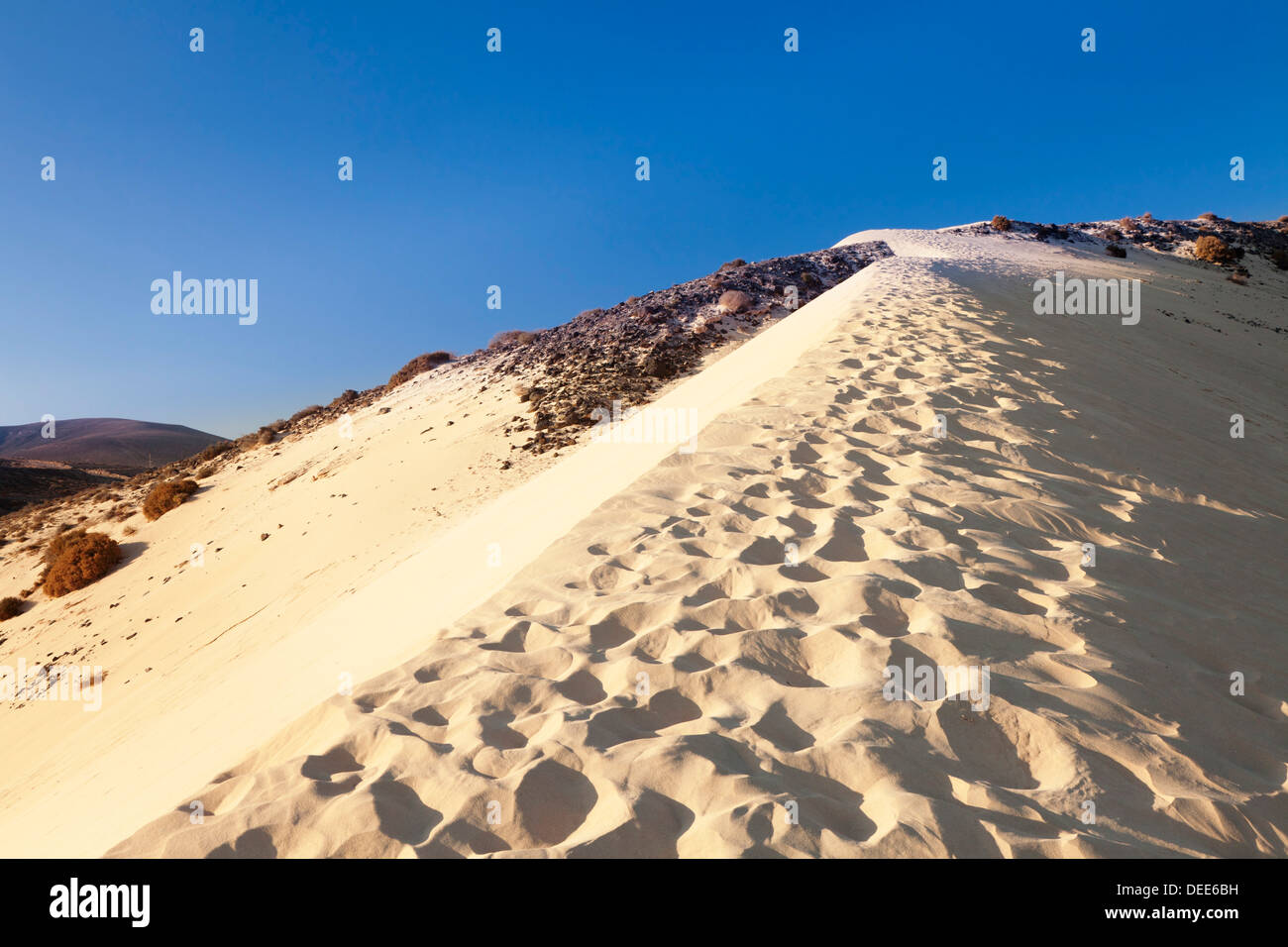 Sand dune, Risco del Paso, Playa de Sotavento, Fuerteventura, Canary Islands, Spain, Europe Stock Photo