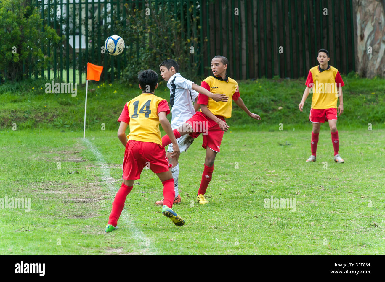 Junior football players tackling , Cape Town, South Africa Stock Photo