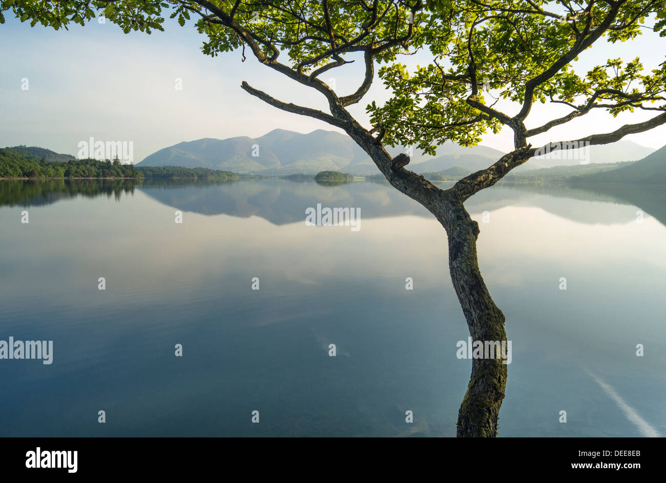 View of Derwentwater in the English Lake district on an utterly calm summer's morning Stock Photo