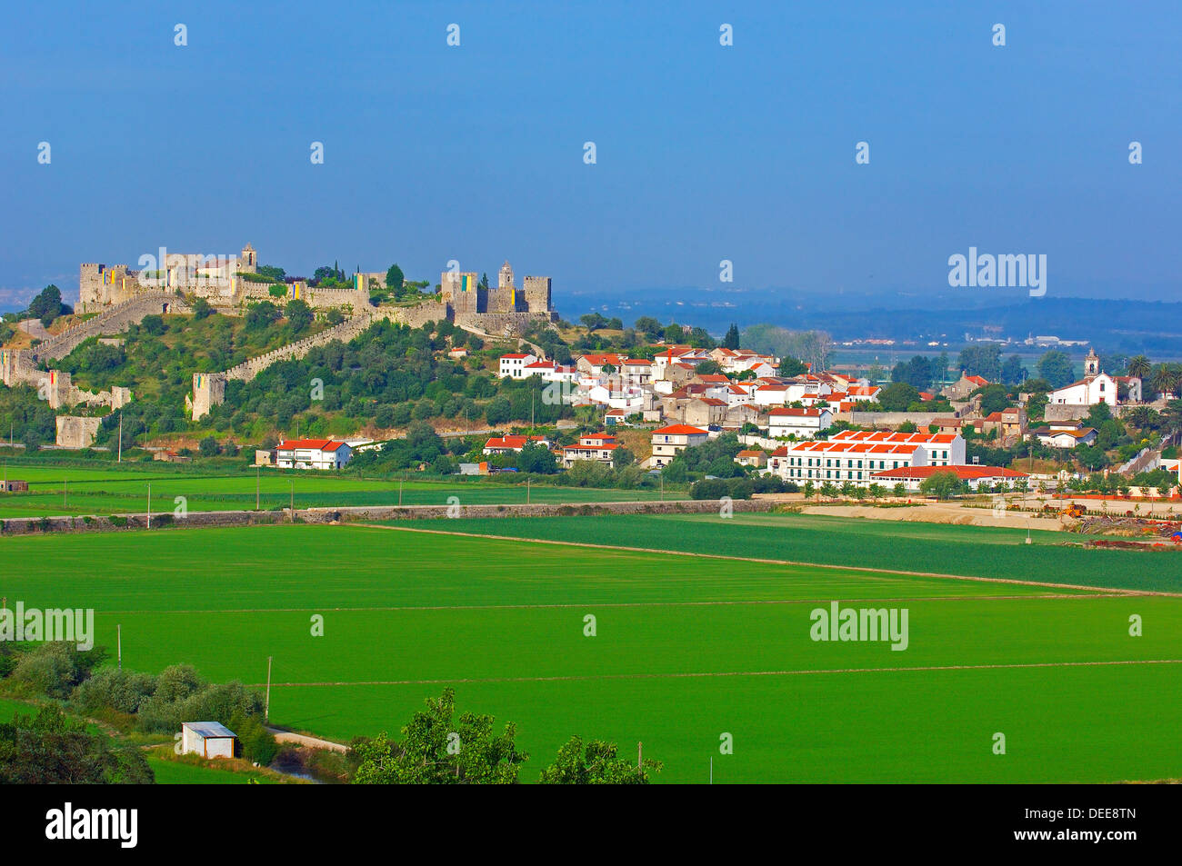 Montemor o Velho, Castle, Coimbra district, Beiras region, Portugal, Europe Stock Photo