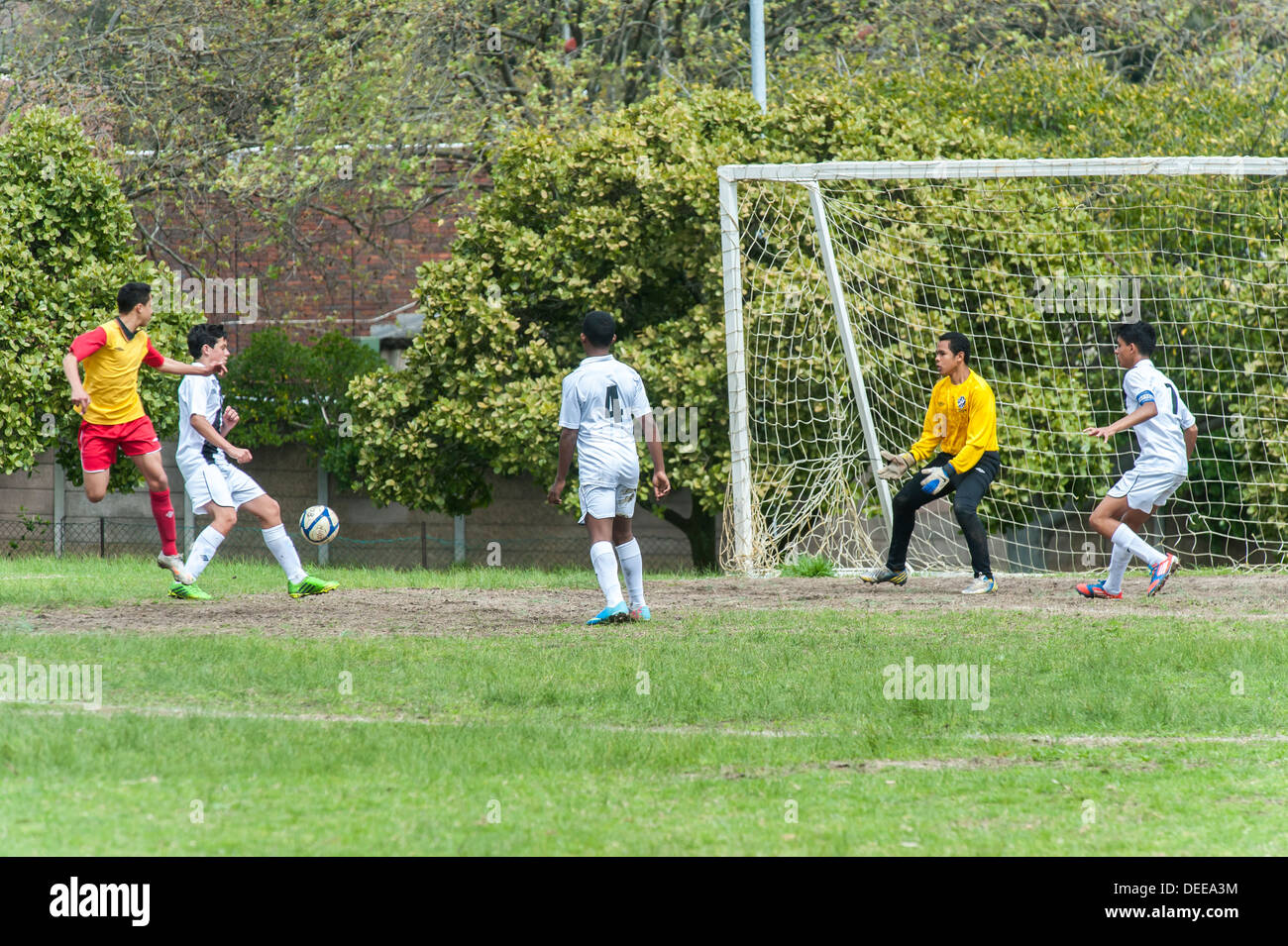 Junior football players striking the ball in front of the goal , Cape