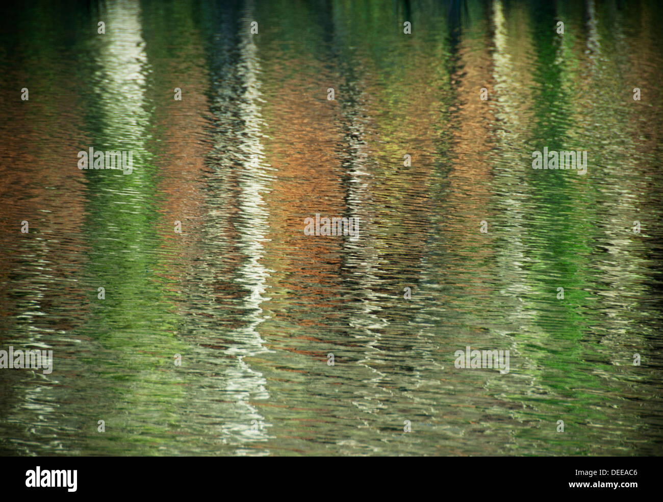 Reflections of trees in water, autumn Stock Photo