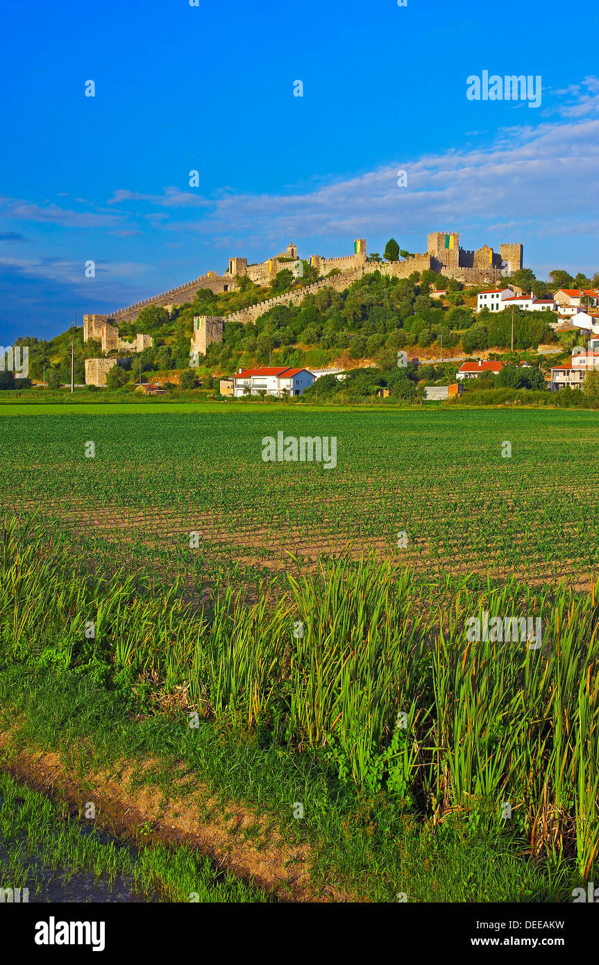 Montemor o Velho, Castle, Coimbra district, Beiras region, Portugal, Europe Stock Photo