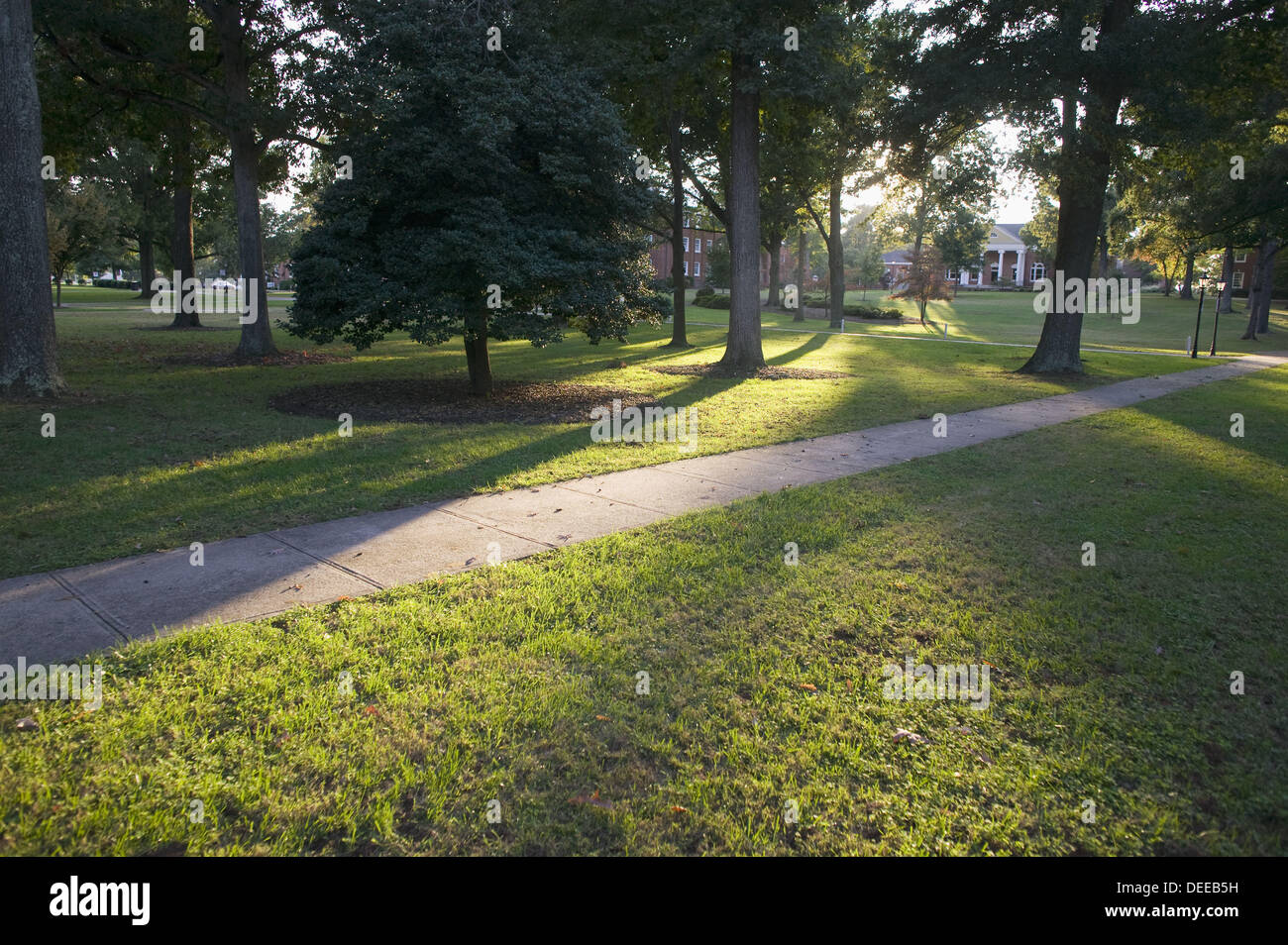 Walkway Under Trees At Guilford College Greensboro Nc Stock