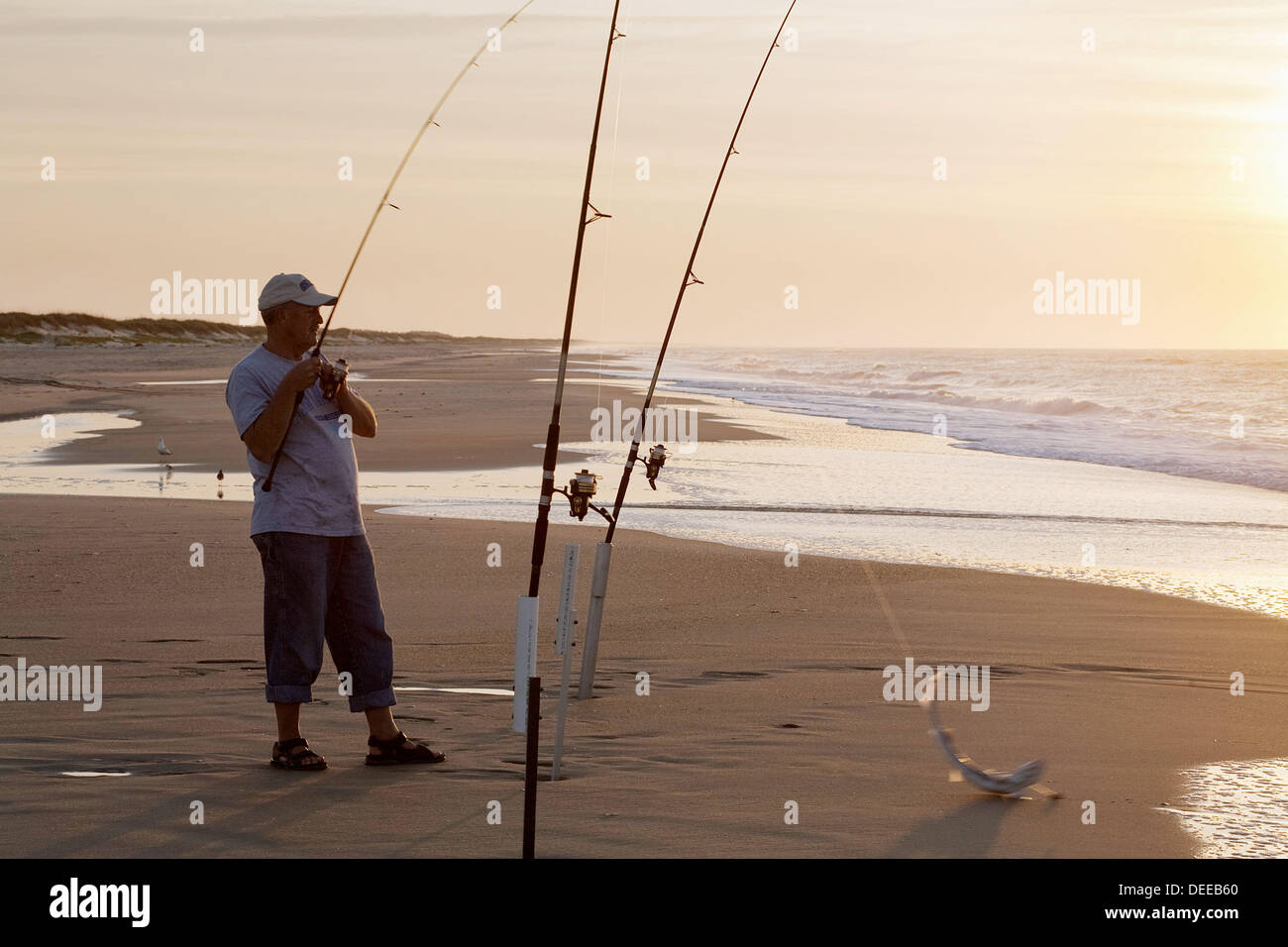 Surfcasting at sunrise, Outer Banks, Ocracoke Island, North Carolina, USA Stock Photo Alamy