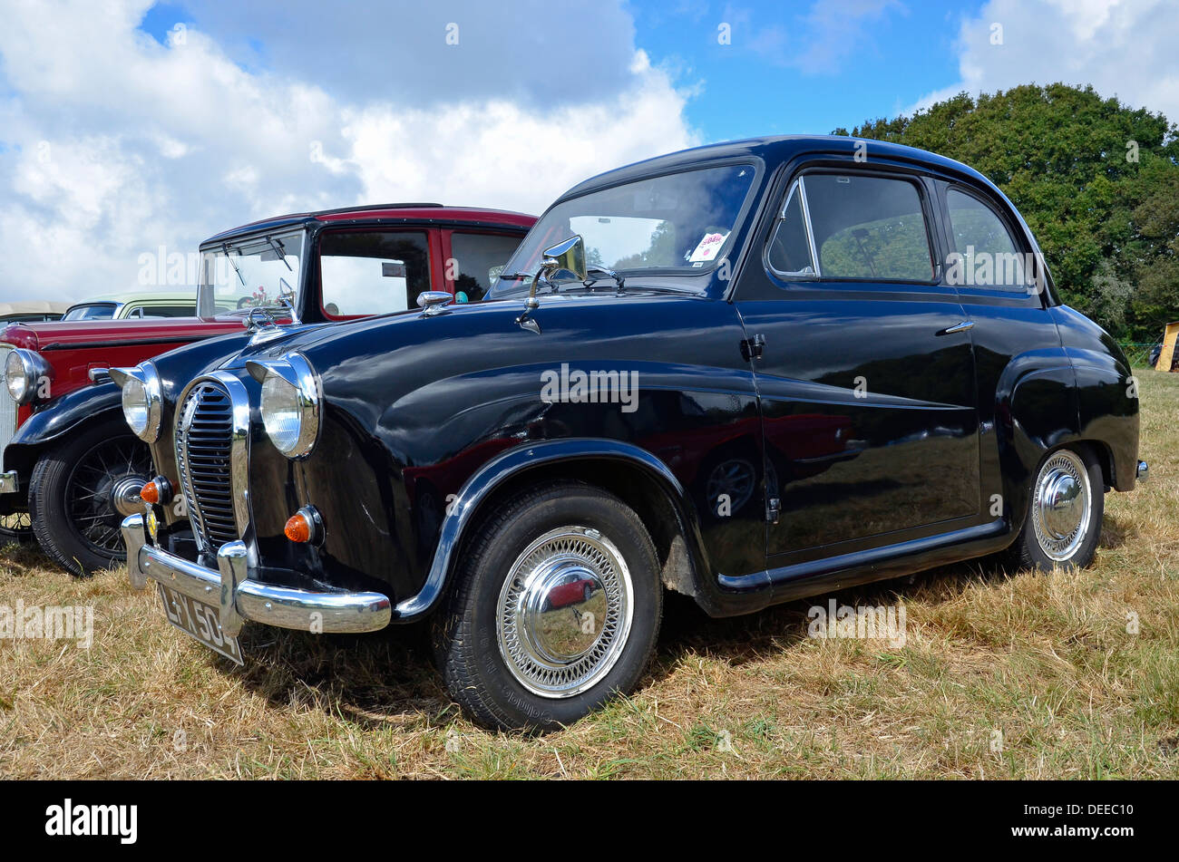 Austin A35 - a classic small British saloon car of the 1950s on show at a classic car rally in Dorset, England. Stock Photo