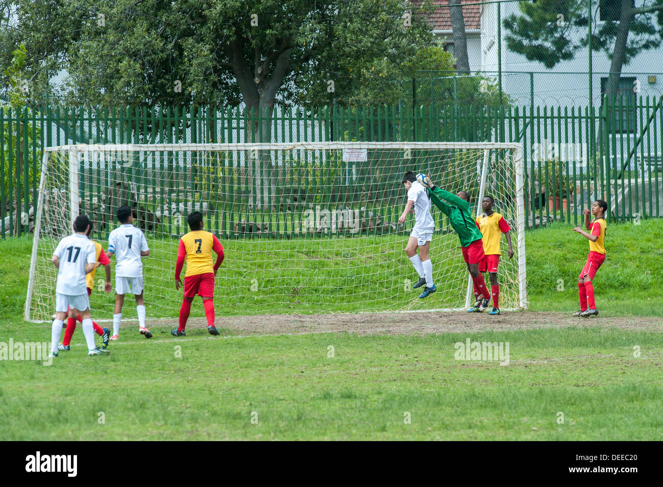 Junior football players goal keeper catching the ball, Cape Town, South