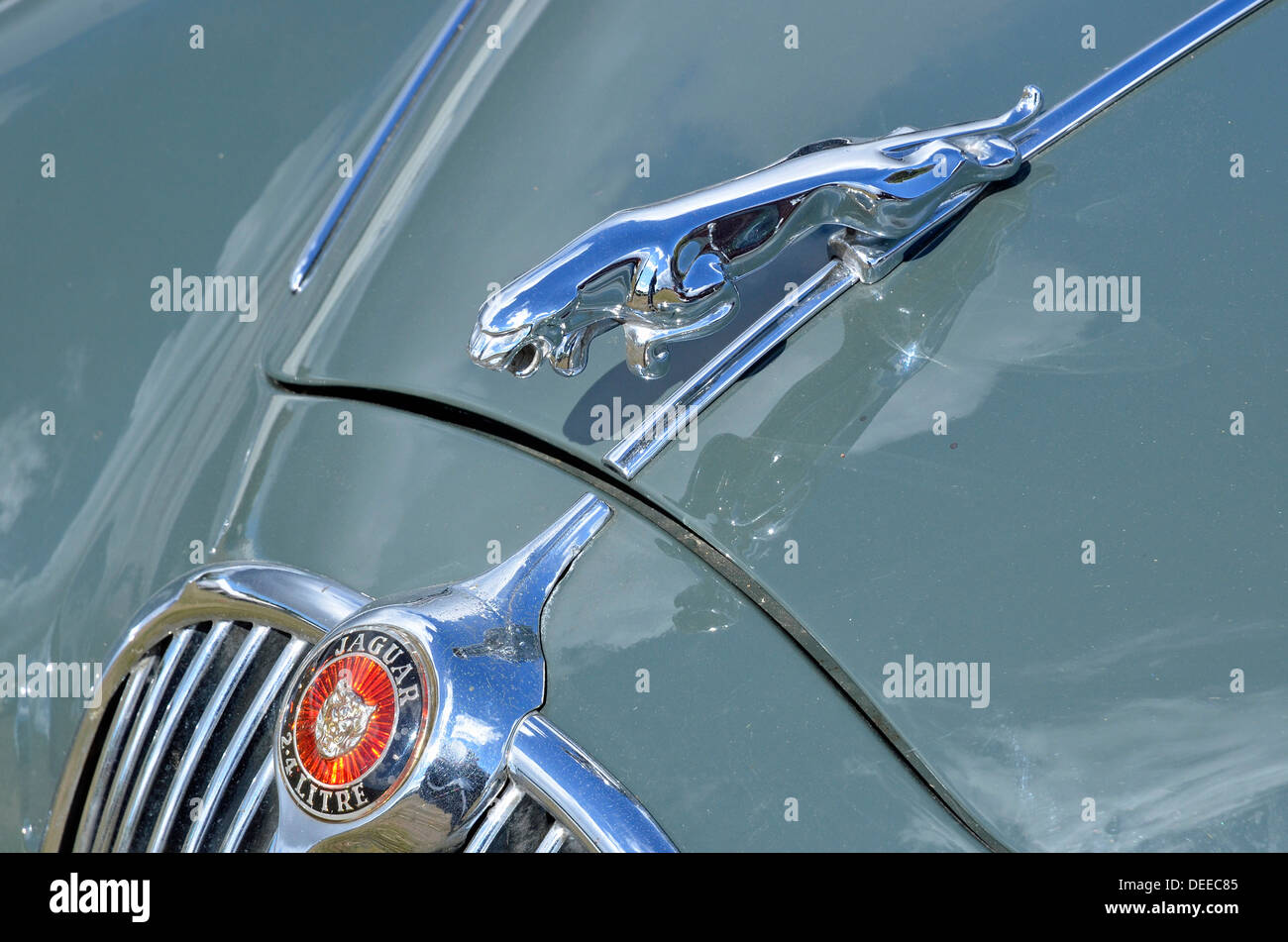 The jaguar emblem hires stock photography and images Alamy