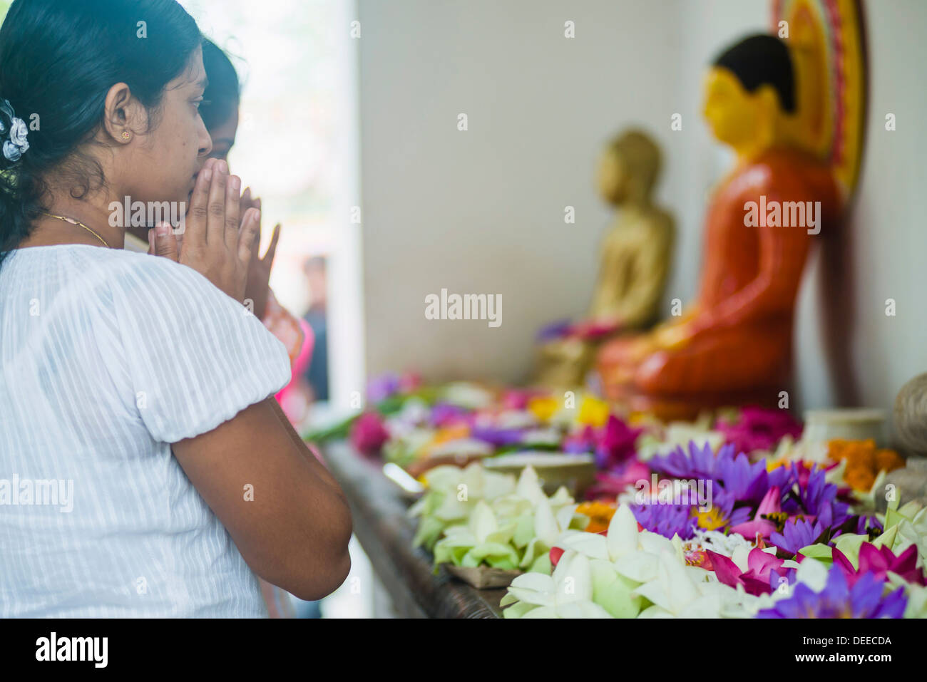 Buddhist woman praying at Sri Maha Bodhi in the Mahavihara (The Great