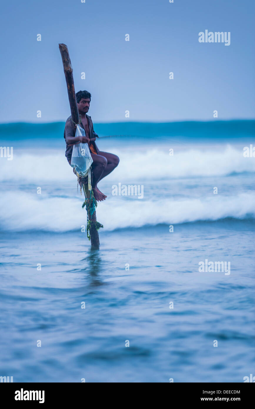 Indian stilt hires stock photography and images Alamy