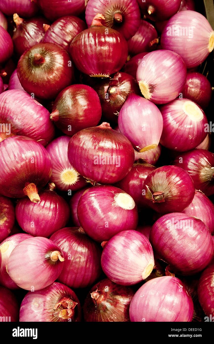 Red Onions, Christchurch, New Zealand Stock Photo Alamy