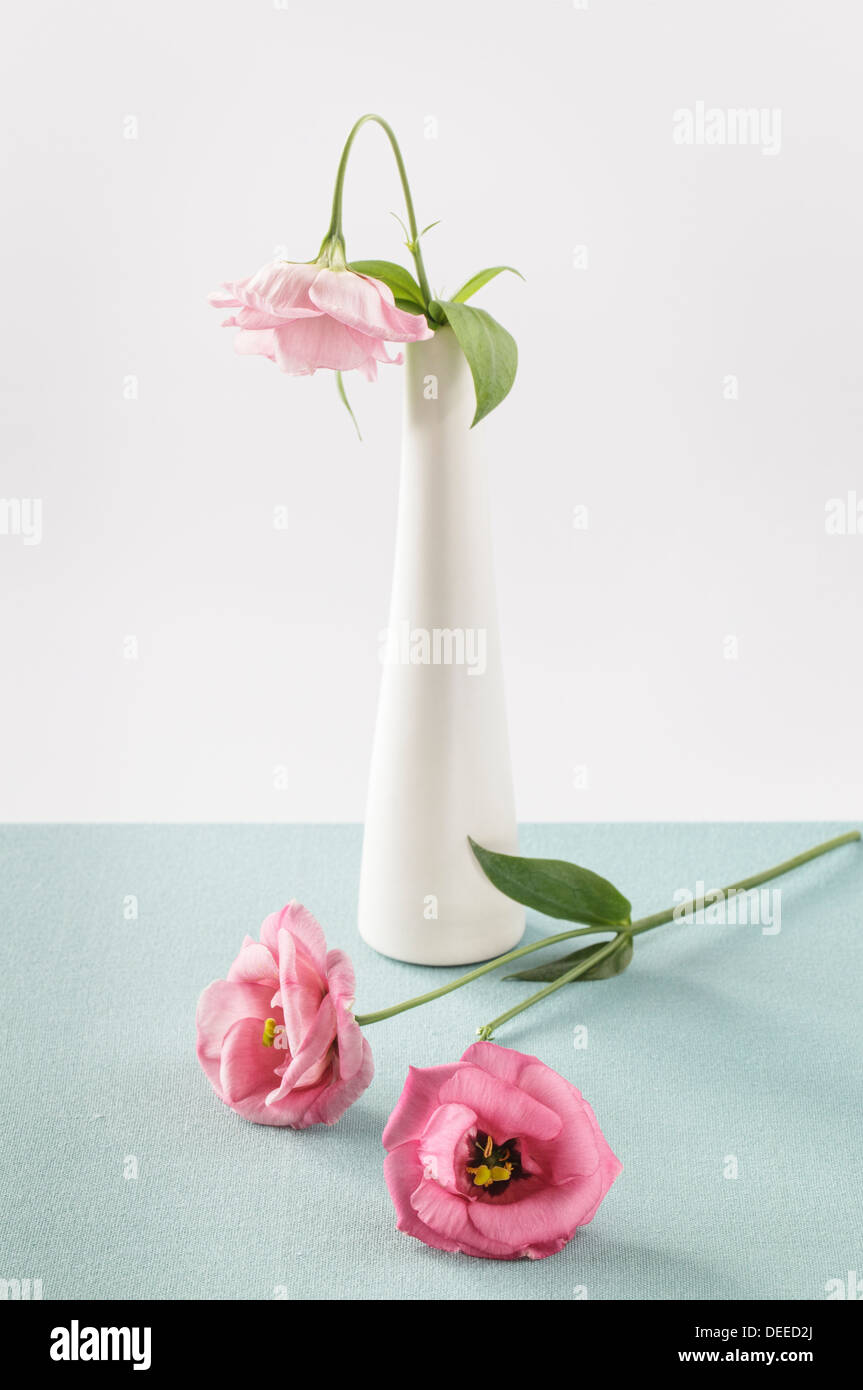 Pink Eustoma in white vase Stock Photo