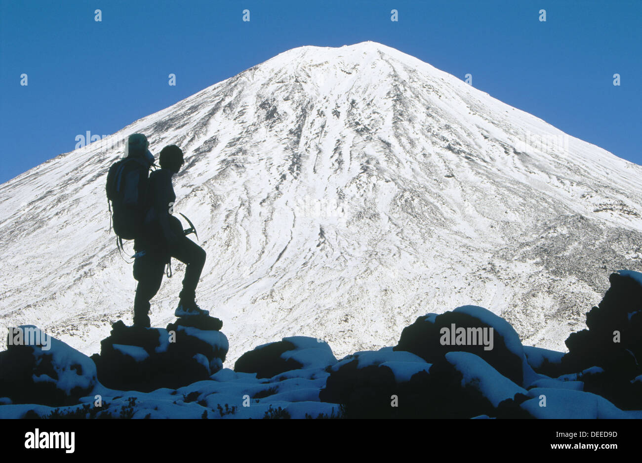 A tramper silhouetted against the symmetrical cone of Mr. Ngauruhoe, Tongariro National Park. New Zealand Stock Photo