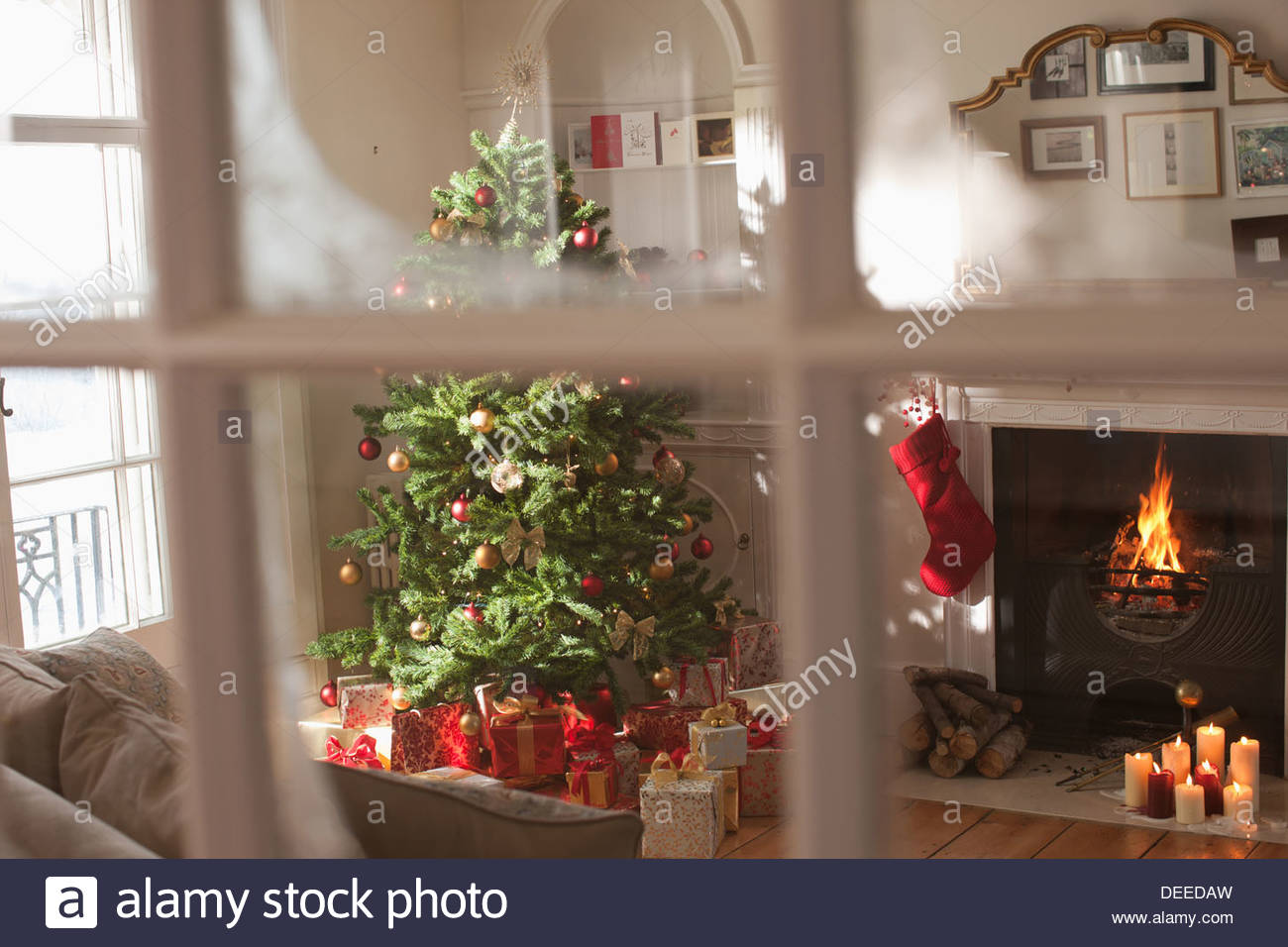 Christmas tree in living room behind window Stock Image