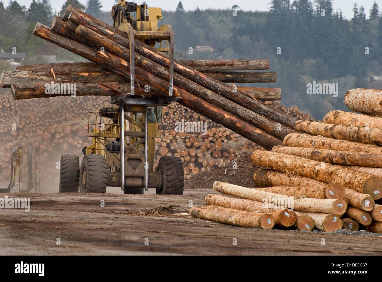 Massive logging machine moving logs at lumber mill, Coos Bay Oregon