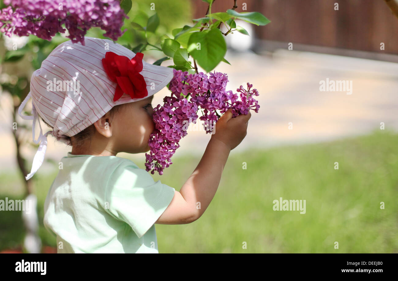 Baby girl sniffing lilac. Stock Photo