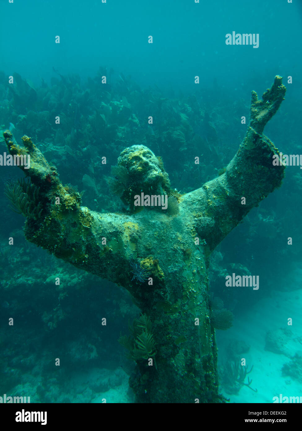 Christ of the Abyss statue in Key Largo, Florida Stock Photo Alamy