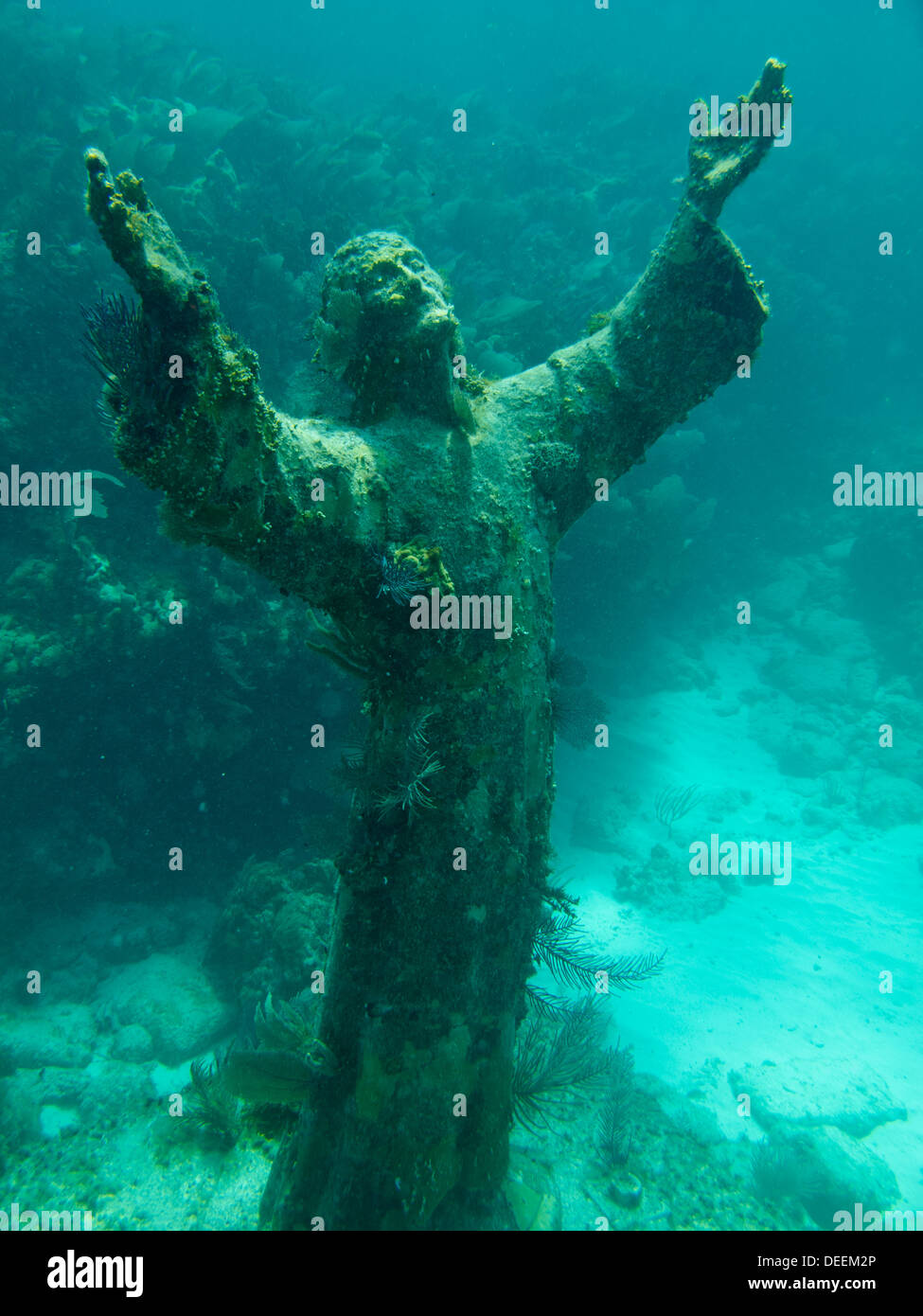 Christ of the Abyss statue in Key Largo, Florida Stock Photo Alamy