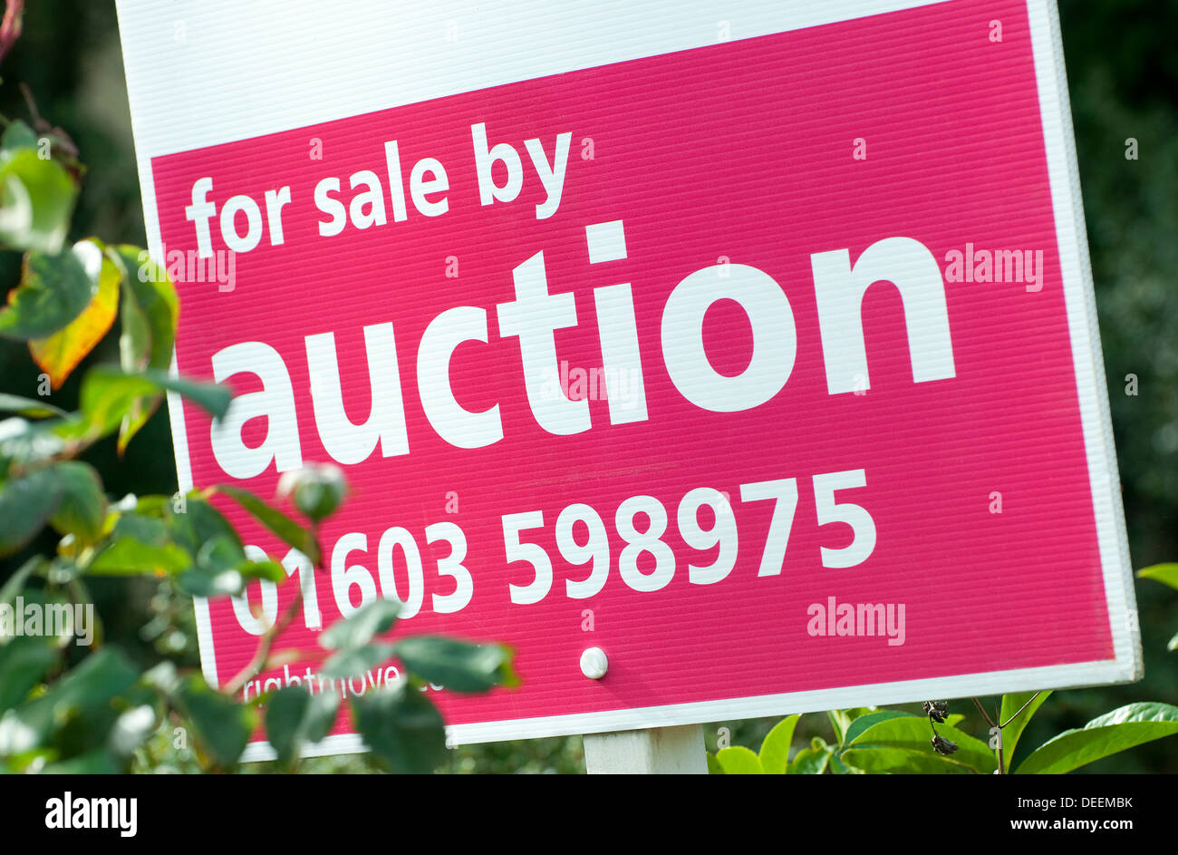 estate agent for sale by auction sign Stock Photo