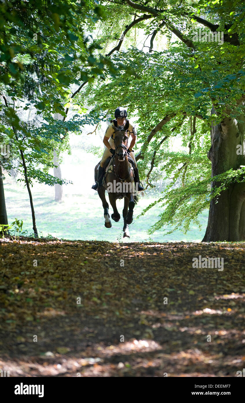 horse and rider at the blenheim horse trials Stock Photo