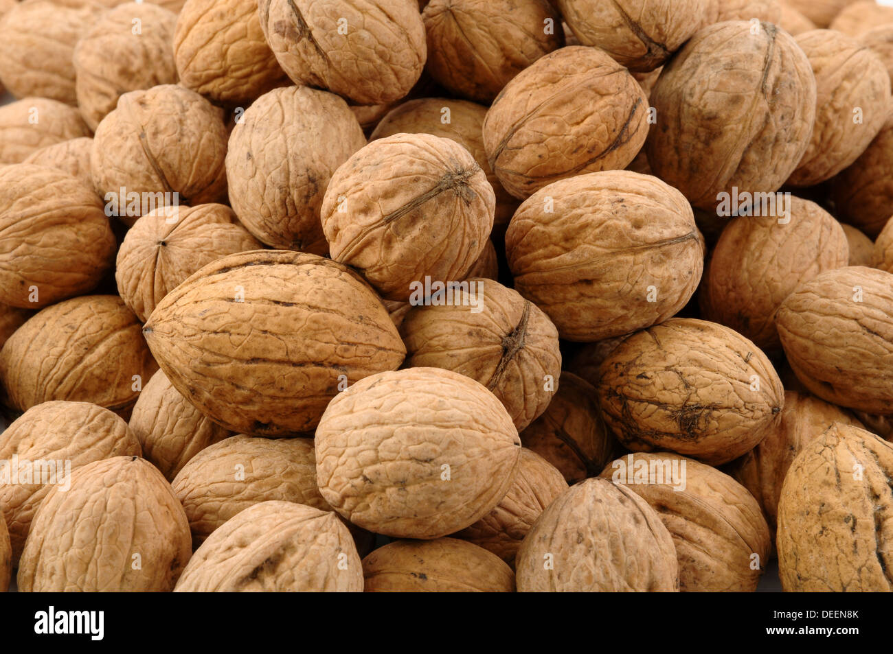 closeup of many walnuts Stock Photo