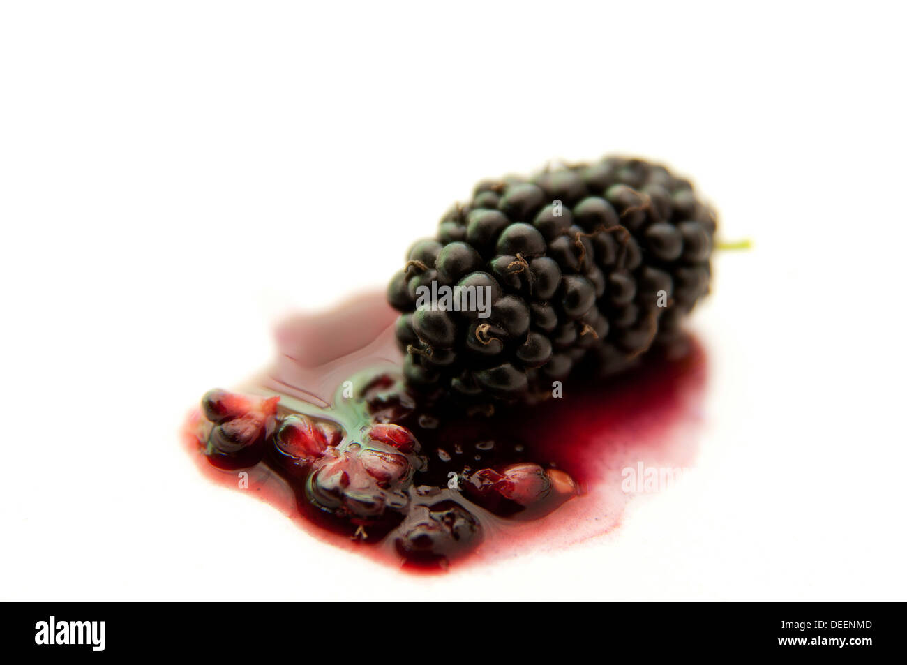 The blackberry is an edible fruit produced by many species Stock Photo