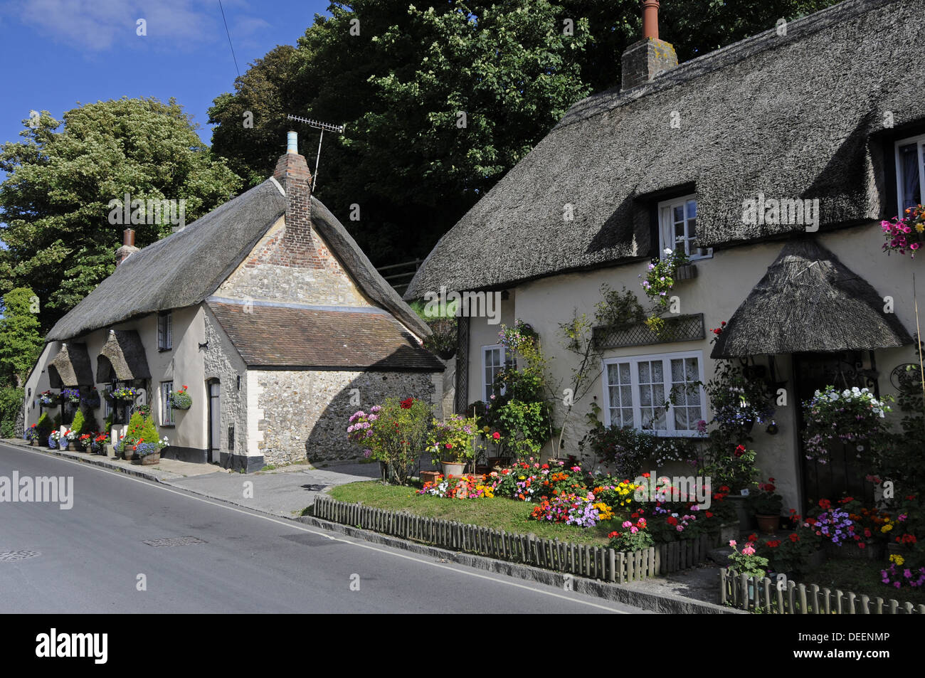 Thatched Cottages West Lulworth Isle of Purbeck Jurassic Coast Dorset England Stock Photo