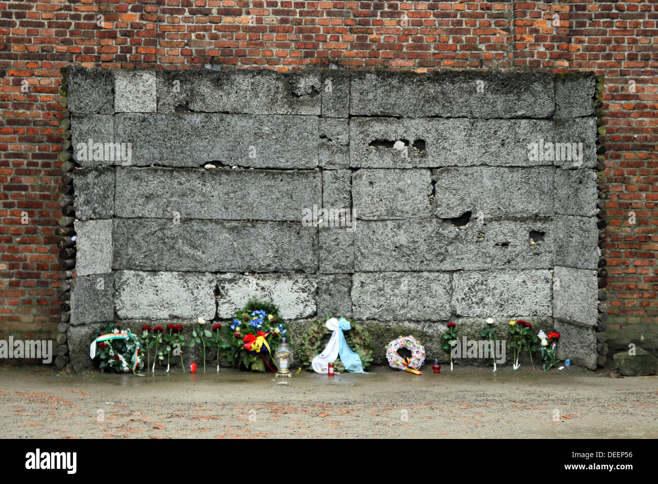 The wall of death at Auschwitz in between blocks 10- and 11. Flowers have been left as a memorial to the victims. Stock Photo