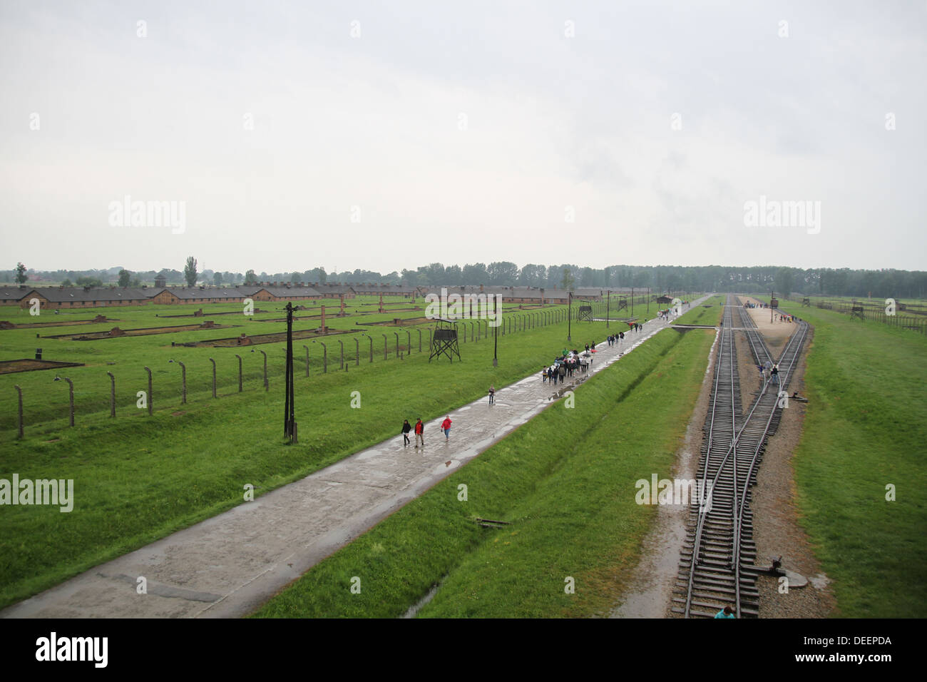 Looking at the train tracks at Auschwitz which were used to transport the victims. Stock Photo
