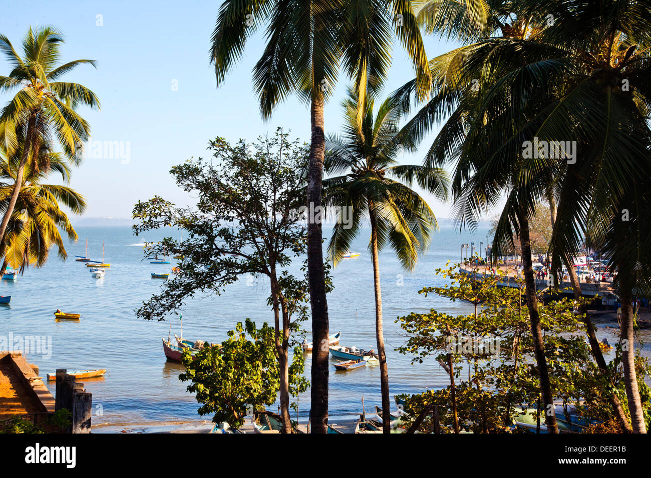 Palm trees on the beach, Dona Paula Beach, Panaji, Goa, India Stock Photo