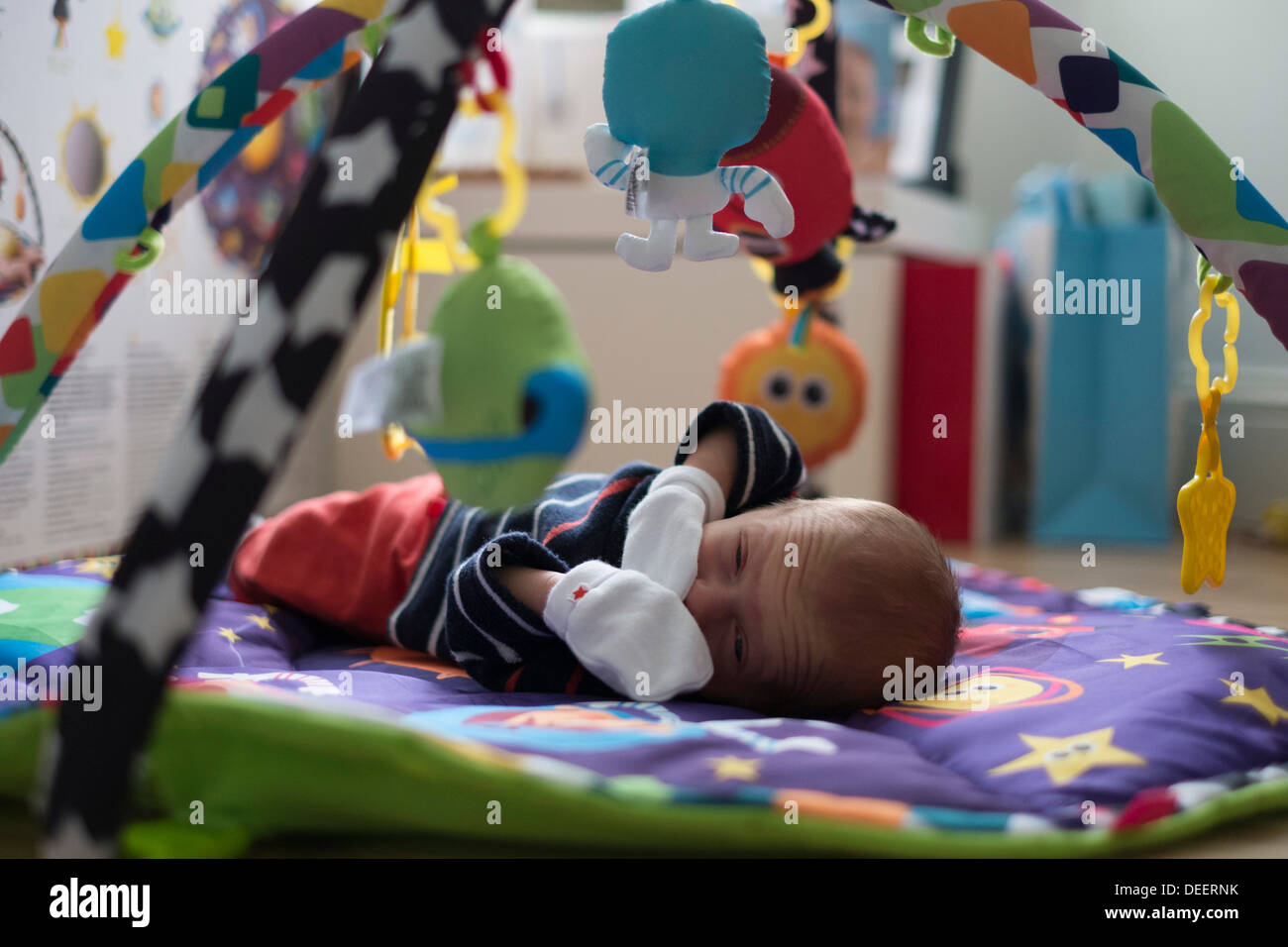 newborn baby gym