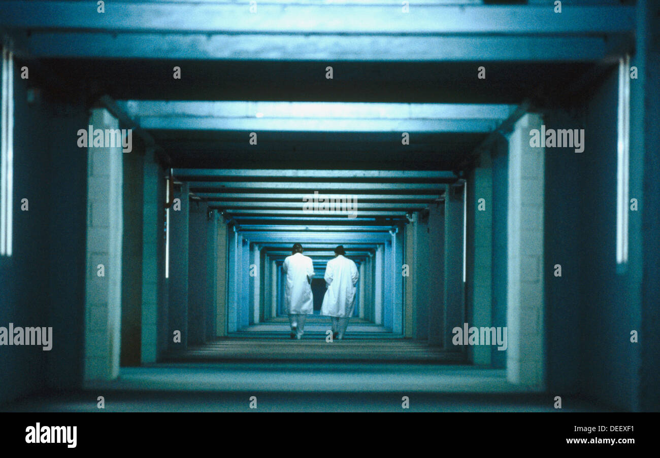 Basement of hospital Stock Photo Alamy