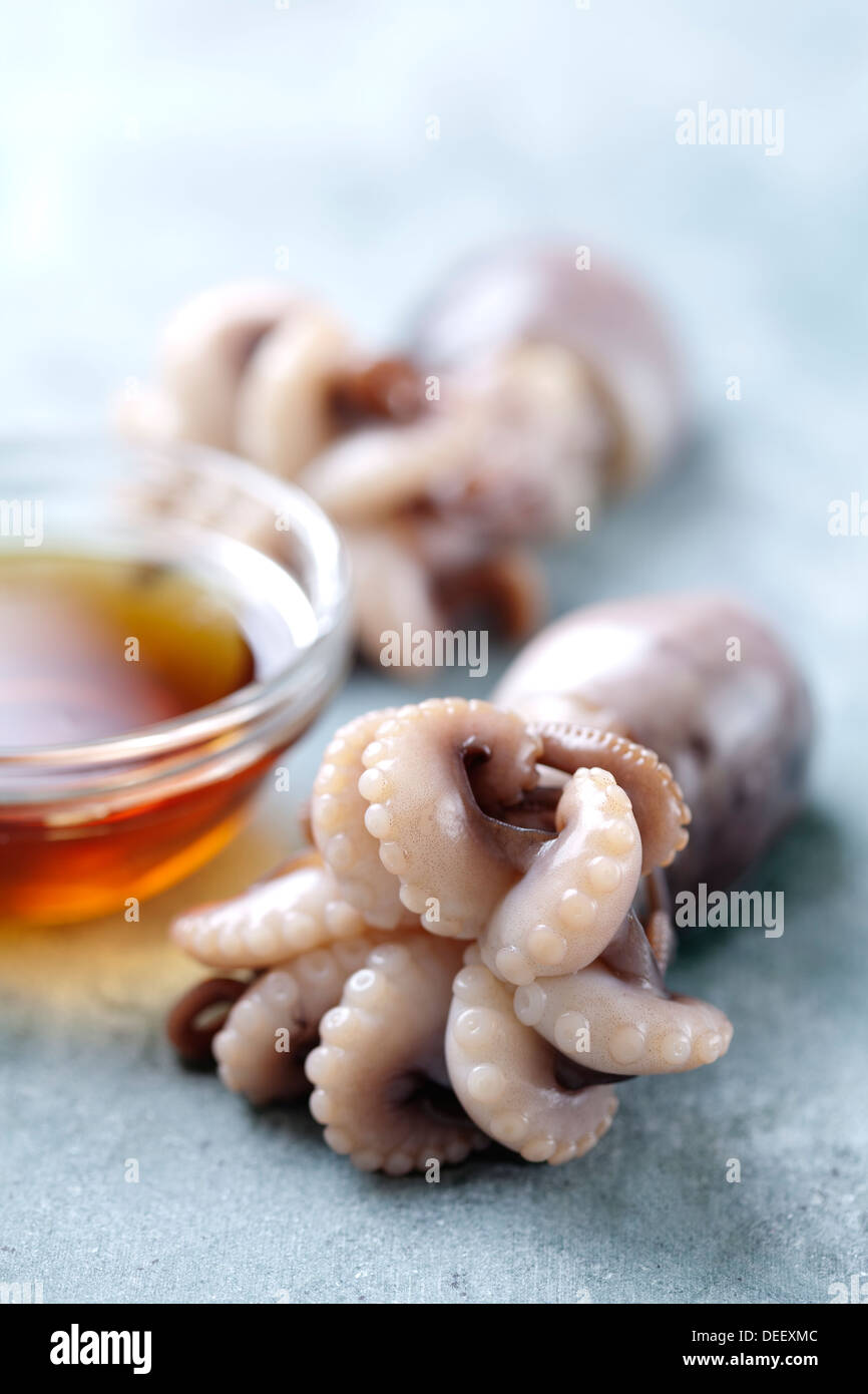 fresh octopus Stock Photo
