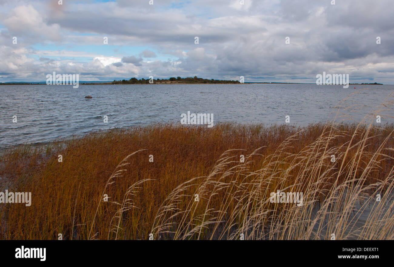 This is a picture of the Baltic sea. The place is landön  .  Landön is between Åhus and Bromölla  in Sweden . Stock Photo
