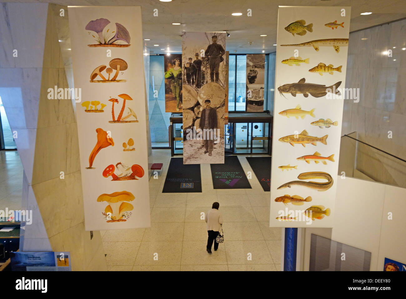 New York State museum in Albany Stock Photo