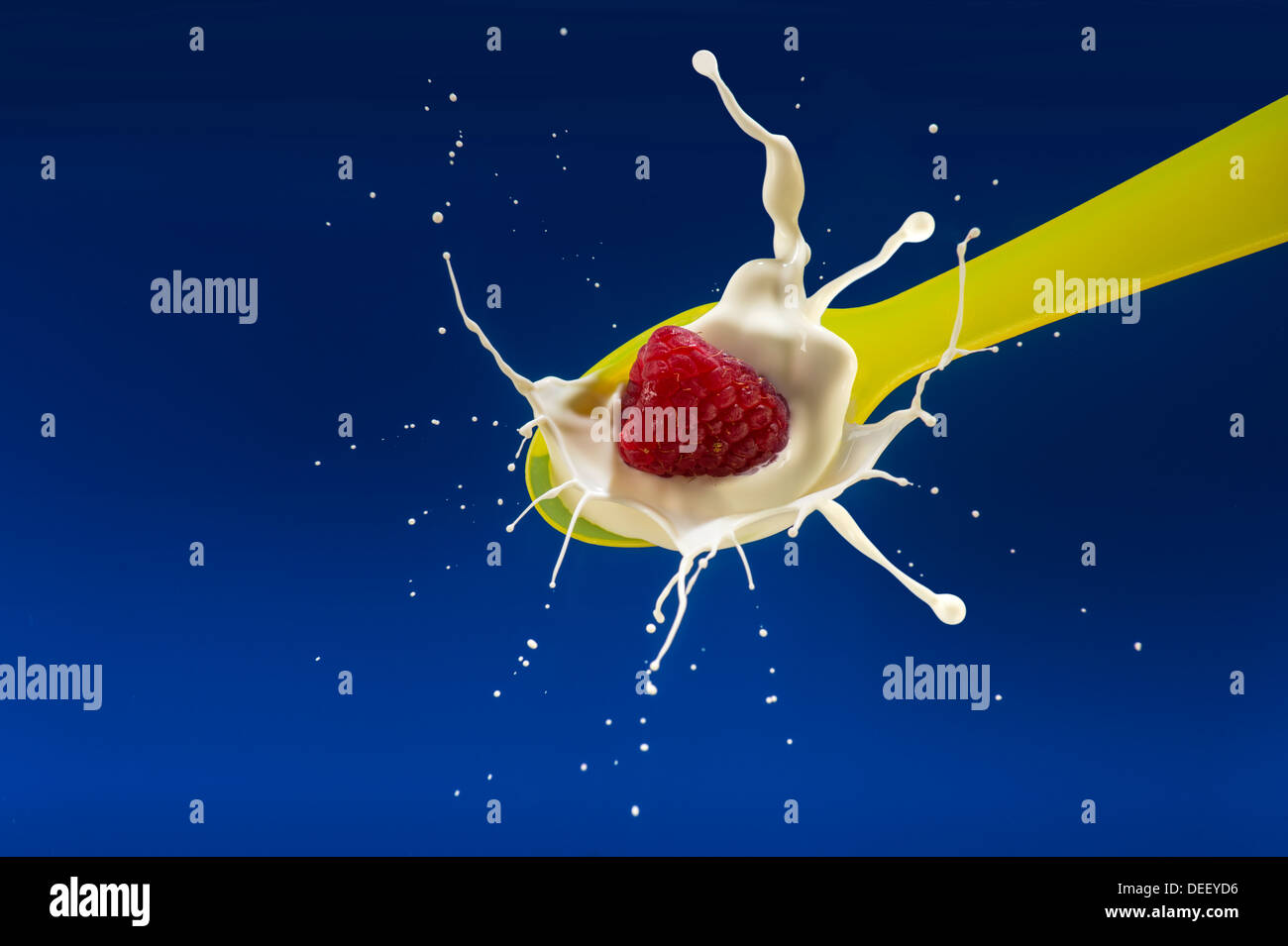 Red Raspberry Dropping In To Spoon With Milk Stock Photo