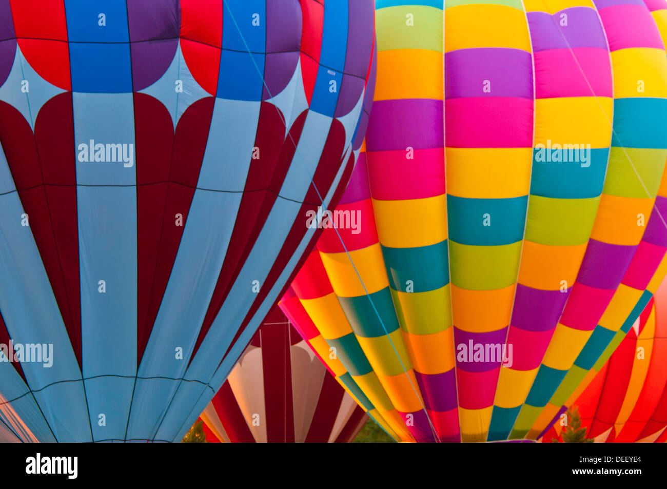 Colorful hot air balloons taking off during the Spirit of Boise Balloon