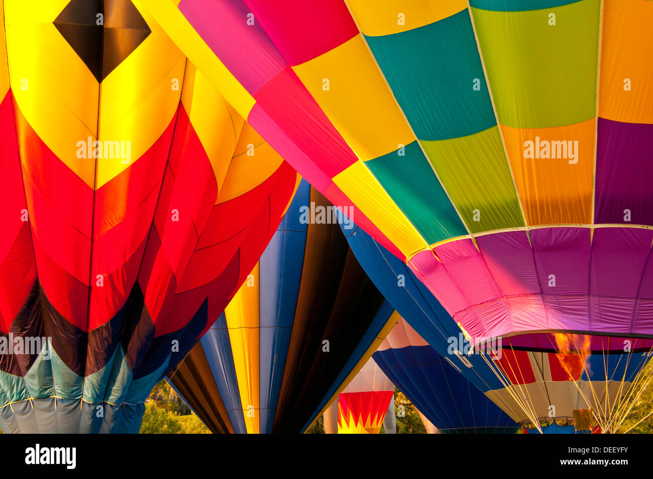 Multicolored hot air balloons taking off during the Spirit of Boise