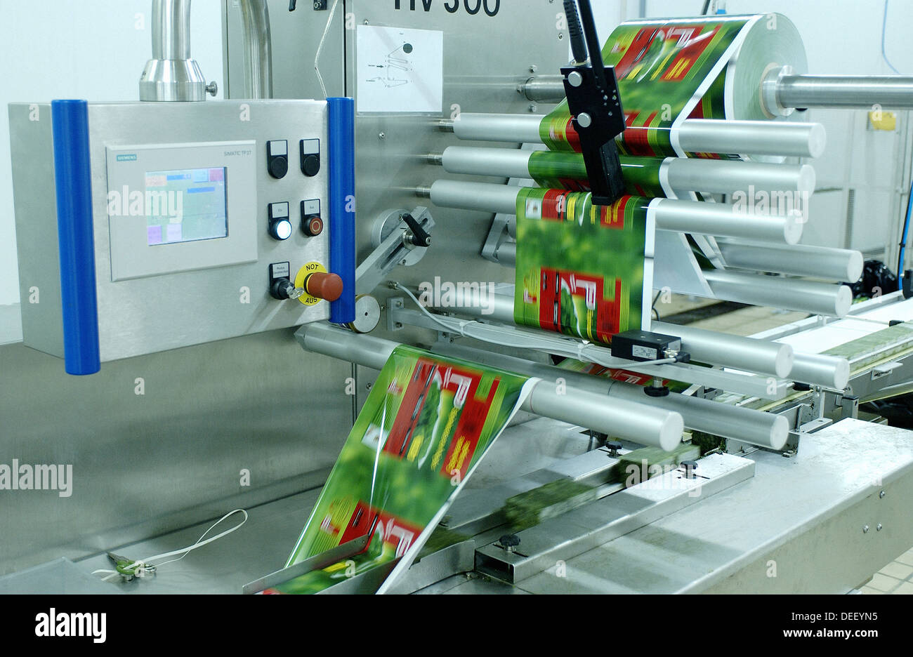 Frozen food industry, packing line. Navarre. Spain Stock Photo Alamy