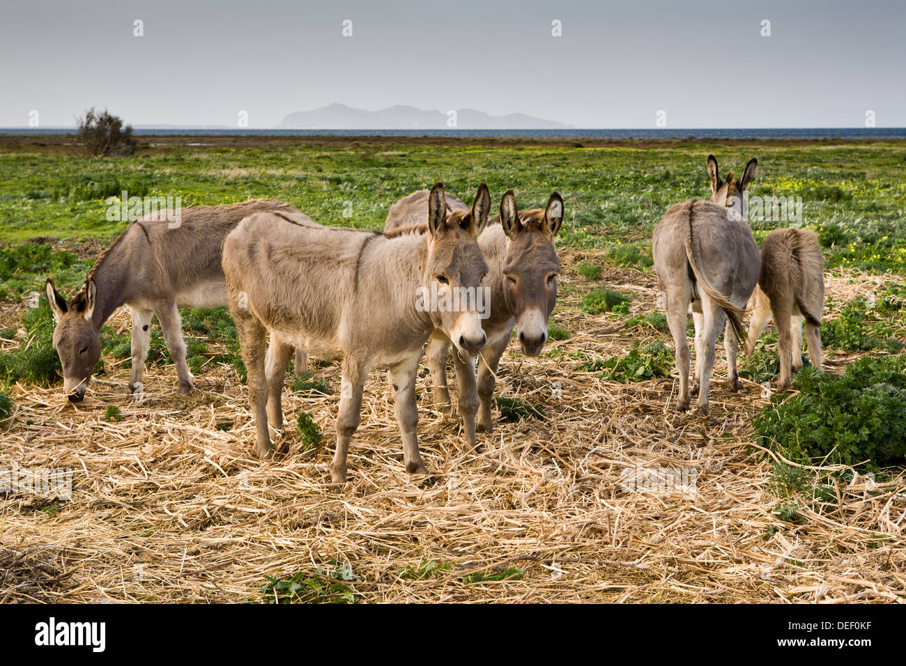 Holy Week \u0026 Easter 2024 in Sicily - Rove.me, image size:1300x956