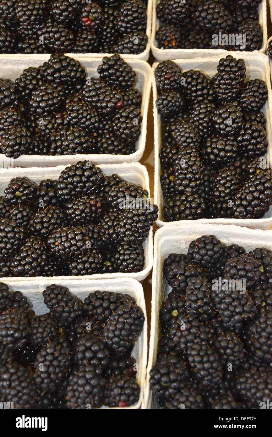 fresh blackberries for sale at market Stock Photo Alamy