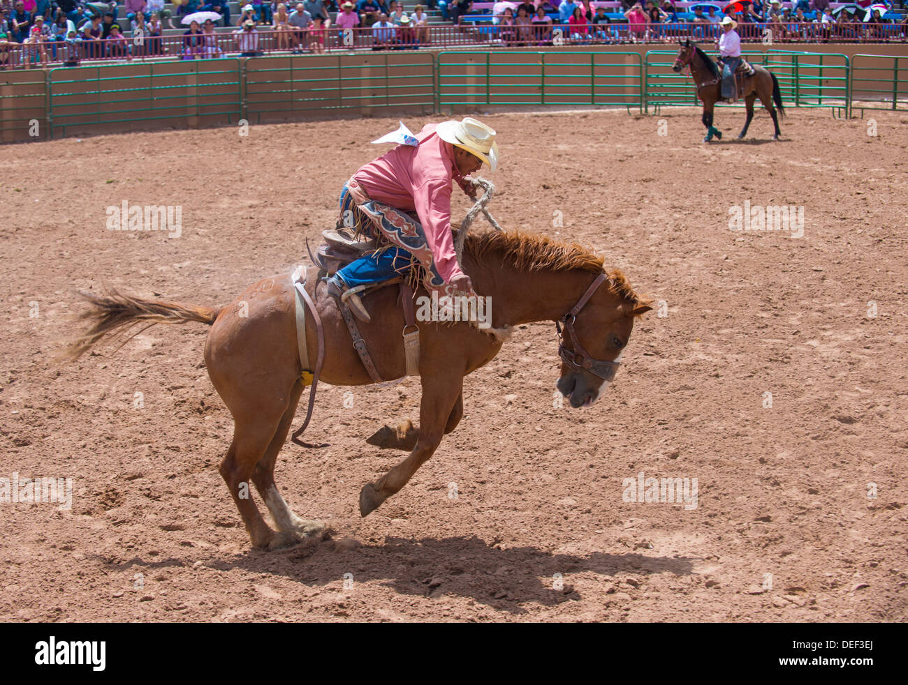 Cowboy Participates in a Bucking Horse Competition at the 92nd annual