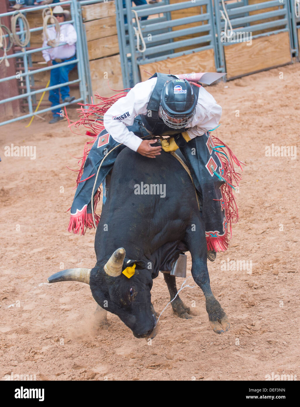 Mexico Bull Rider Bull rider mexico hi-res stock photography and images - Alamy